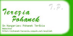 terezia pohanek business card
