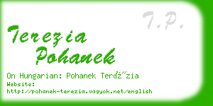 terezia pohanek business card